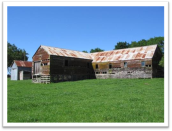 Title: Main Estate Woolshed