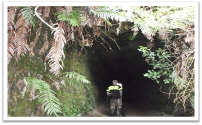 Title: Tunnel Road - Western Tram Tunnel