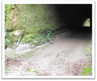 Title: TUNNEL ROAD – EASTERN TRAM TUNNEL